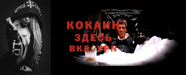 ECSTASY Белокуриха