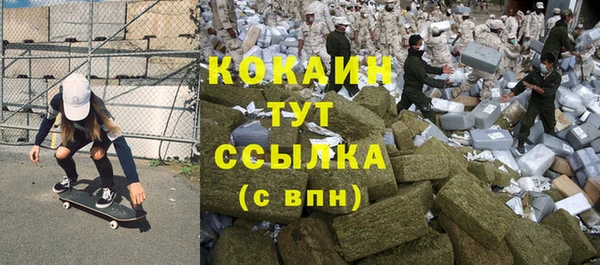 ECSTASY Белокуриха