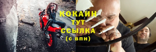 индика Сосновоборск